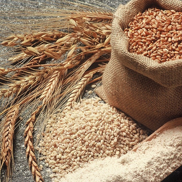 Helping Guests Manage Celiac Disease