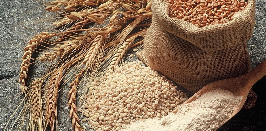 Helping Guests Manage Celiac Disease