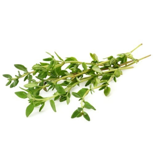 Several sprigs of time gathered in a pile Several sprigs of time gathered in a pile