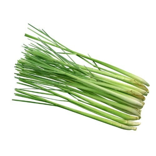 Bright green lemongrass stalks Bright green lemongrass stalks