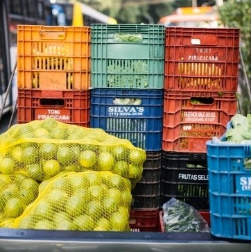 Food stored in crates and nets Food stored in crates and nets