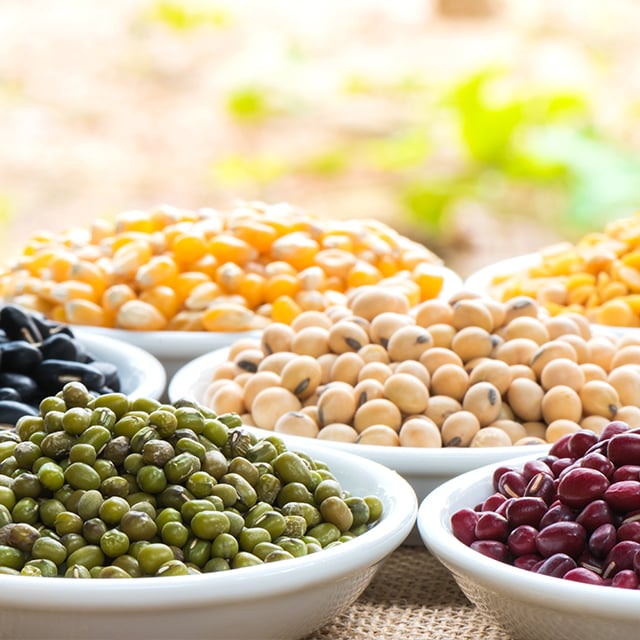 Beans