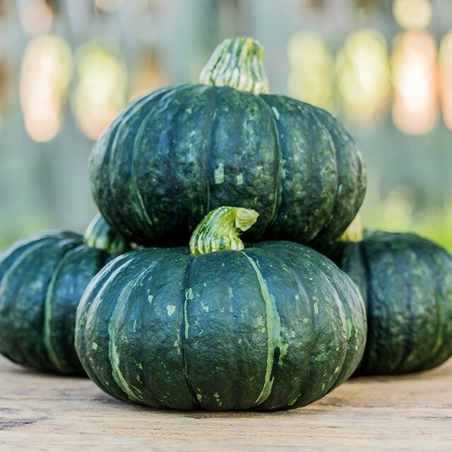 Chefs Share New Ways to Bring Guests Wholesome, Seasonal Fare