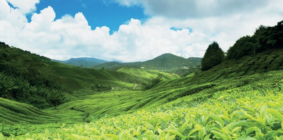 Sustainability…What Does it Mean to You?