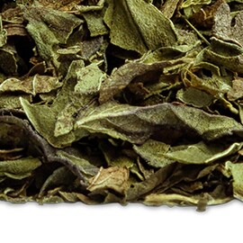 Hot Peppermint Herbal Tea Hot Peppermint Herbal Tea