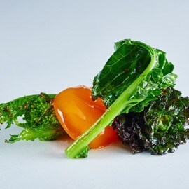 The Cured Egg: The Incredible Edible Delight