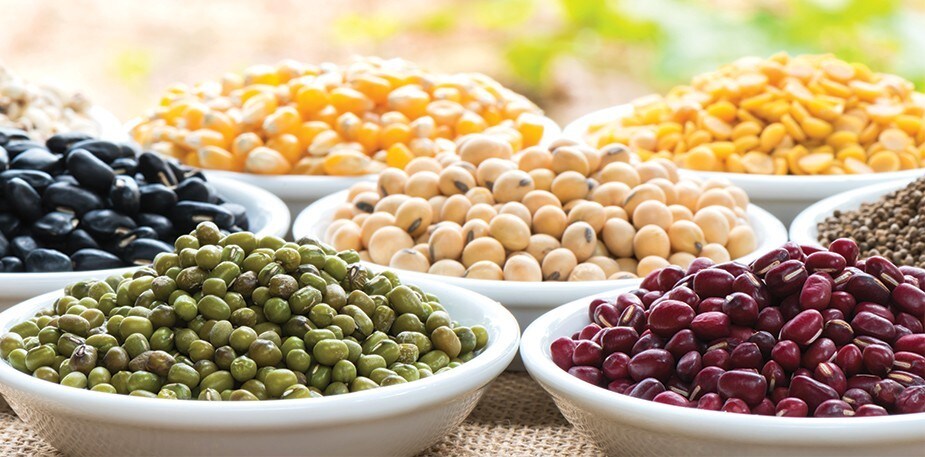 Reviving the Original Cuisine of Indigenous America