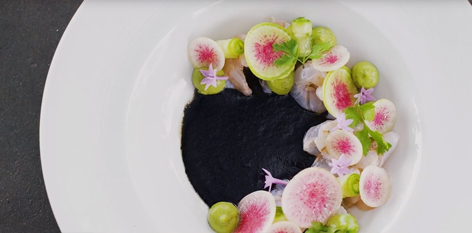 Baja Video Preview Black Agua Chile