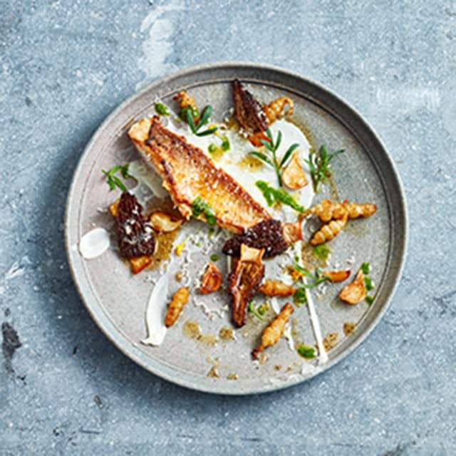 Restaurant Plating: 8 Food Presentation Techniques 