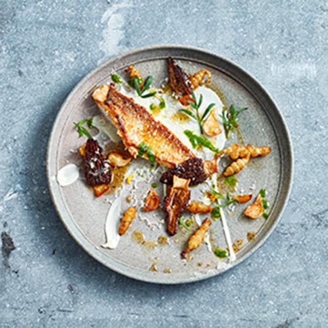 Restaurant Plating: 8 Food Presentation Techniques