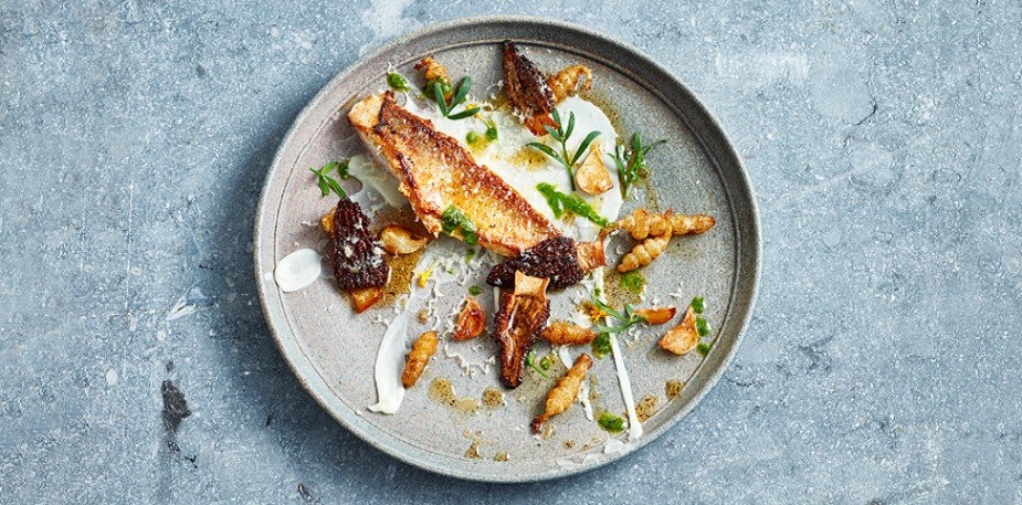 8 idées et styles modernes de montage d’assiette