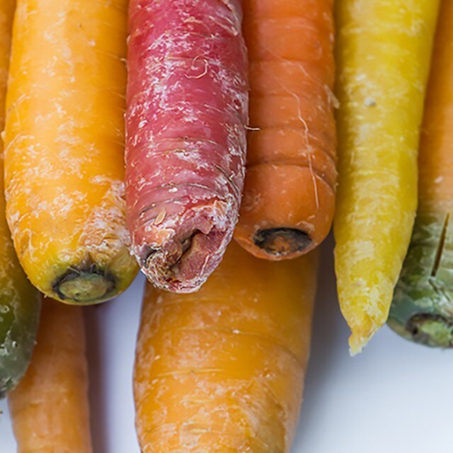 Du Jardin À La Table 