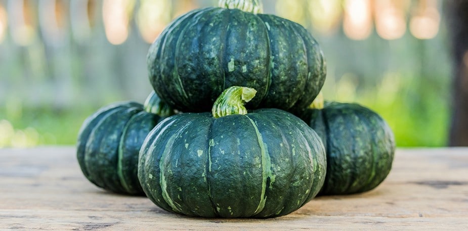 Astuces de chef pour réinventer les produits sains et de saison