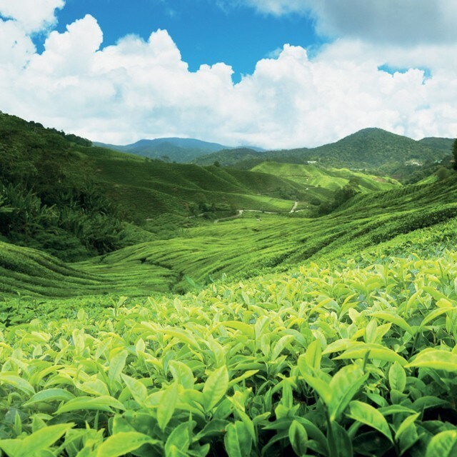 Le développement durable, qu’est-ce ça signifie pour vous?