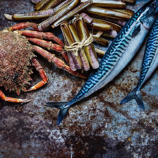 Pêche aux tendances