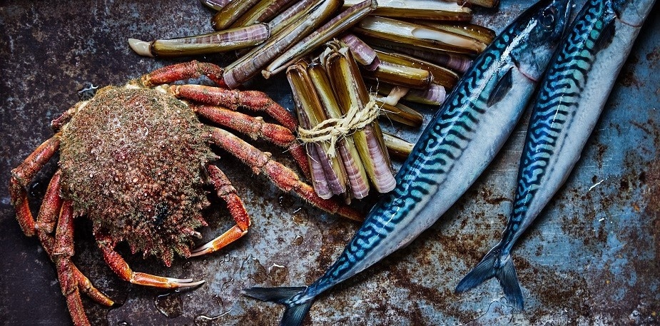 Pêche aux tendances