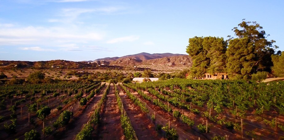 Faites une tournée culinaire à Baja